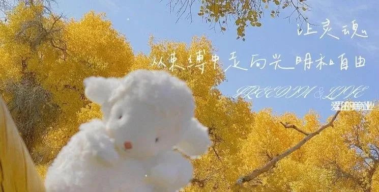 微信图片_20211214130229.jpg