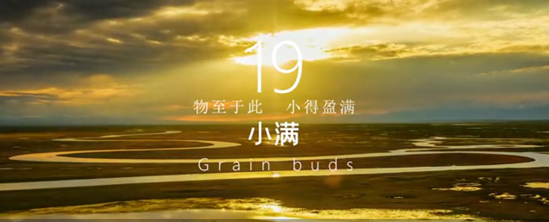 1646808843713967.png