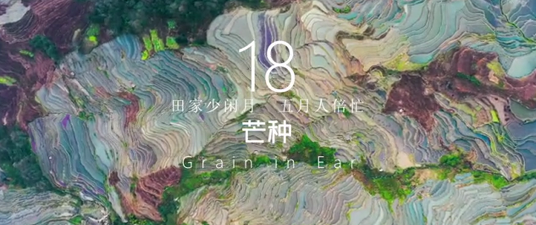 1646808844239230.png
