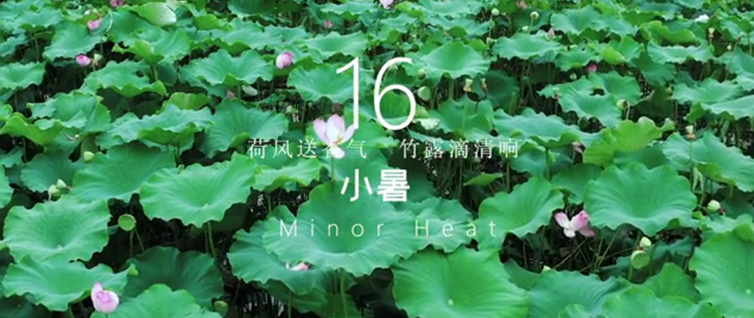 1646808844759876.png