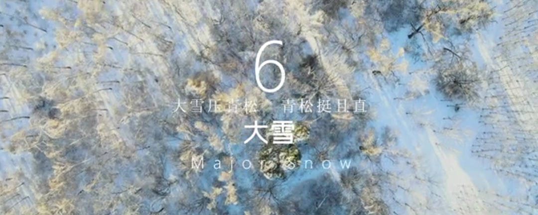 1646808911211963.png
